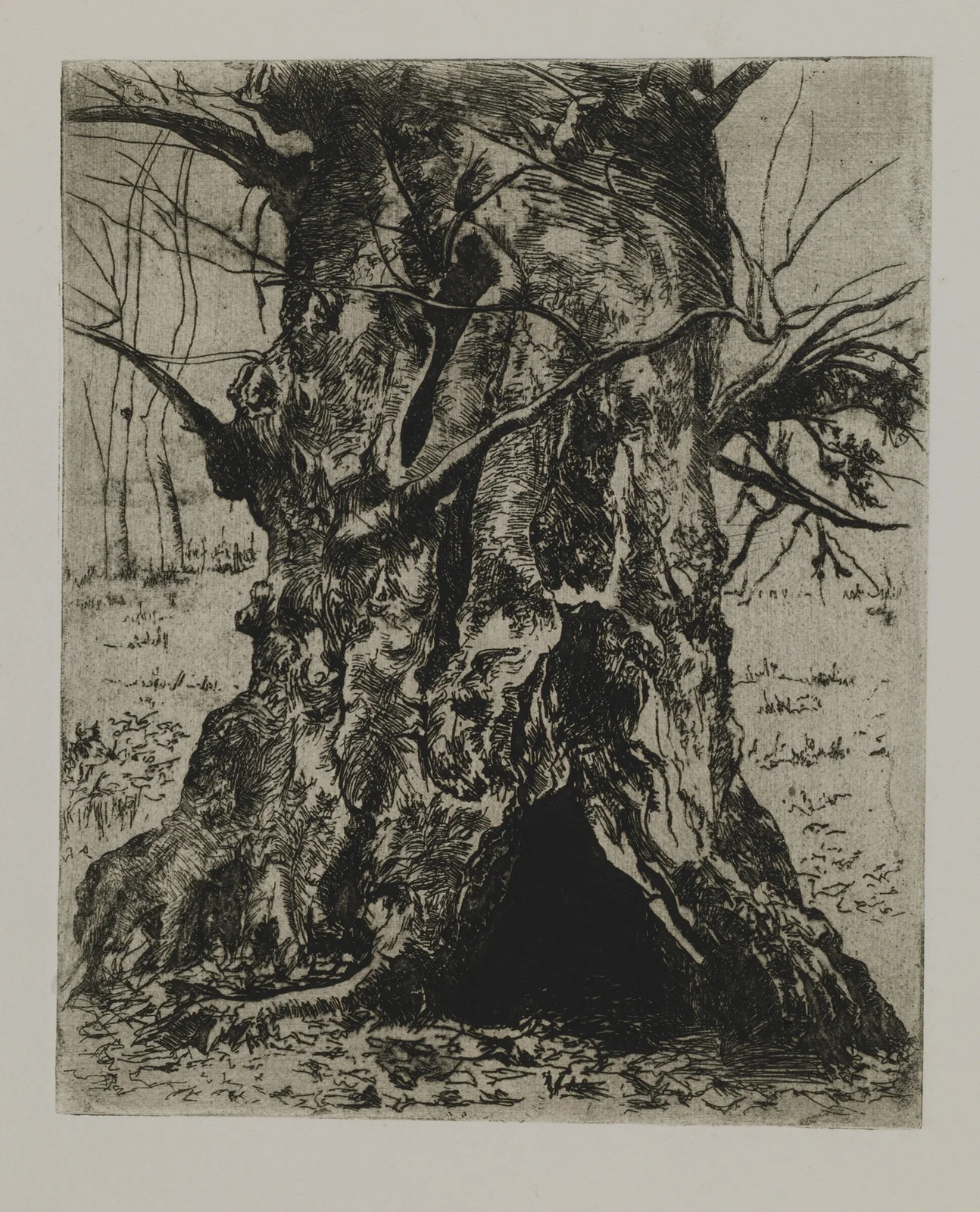 Tree Trunk av Joseph Stella