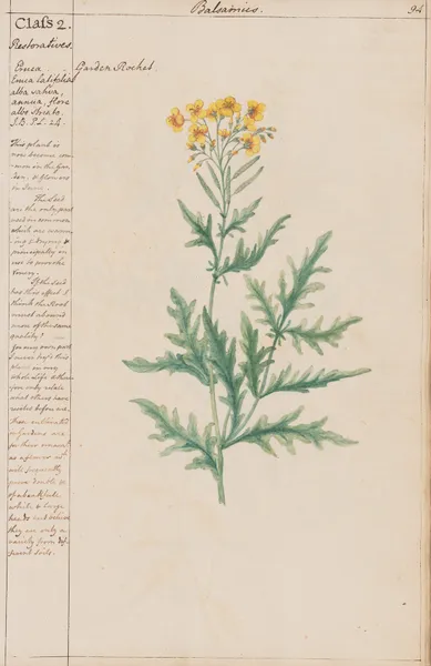 Garden Rocket av Joshua Webster