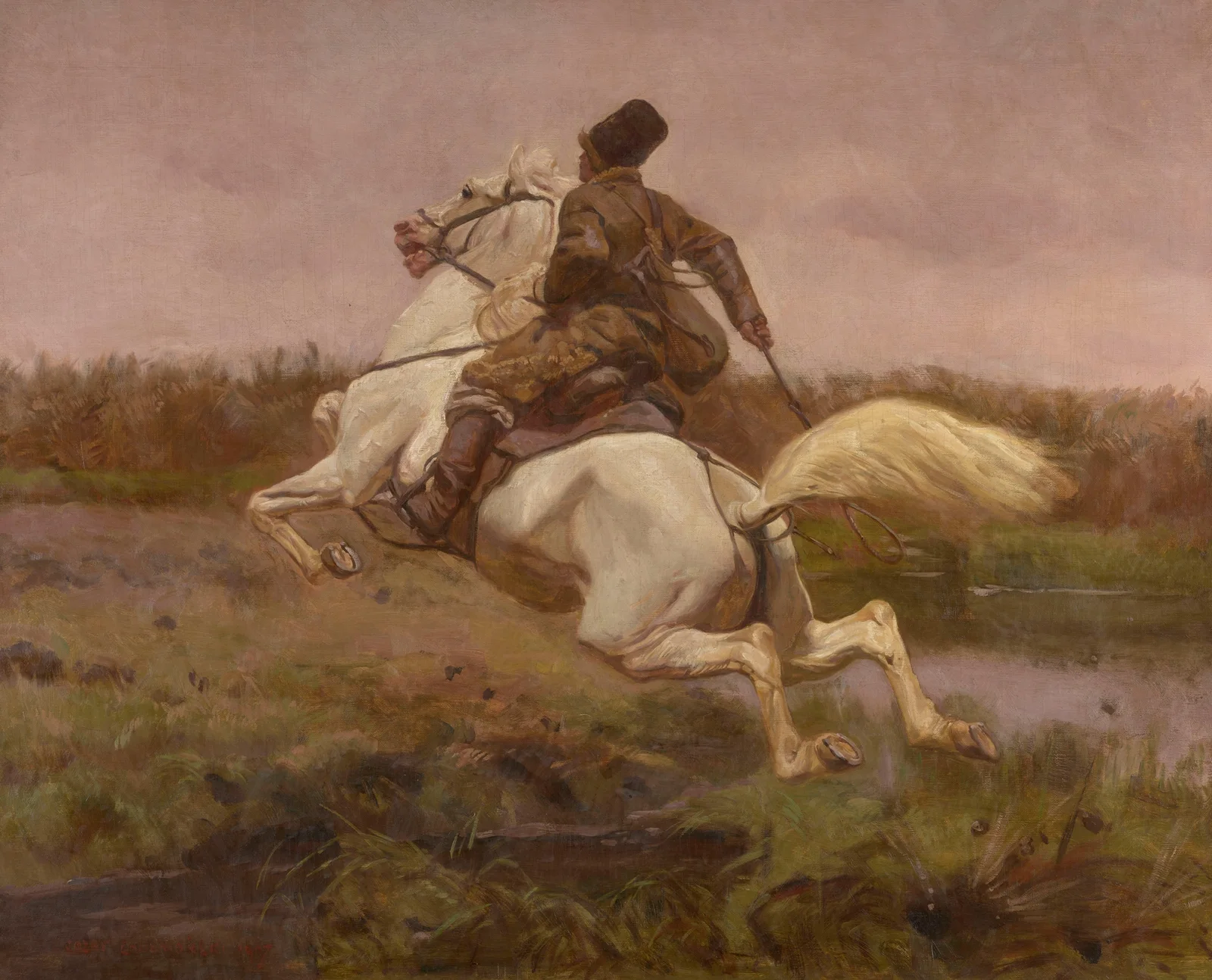 Courser av Jozef Chelmonski