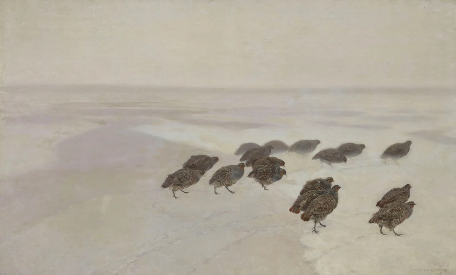 Partridges av Jozef Chelmonski