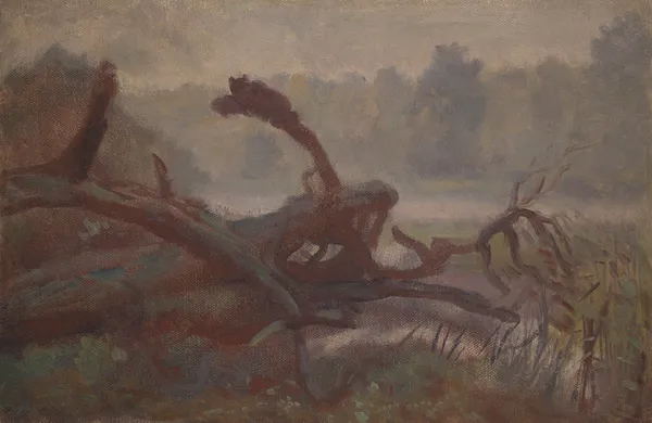 Wilderness; Forest Windfalls, sketch av Jozef Chelmonski
