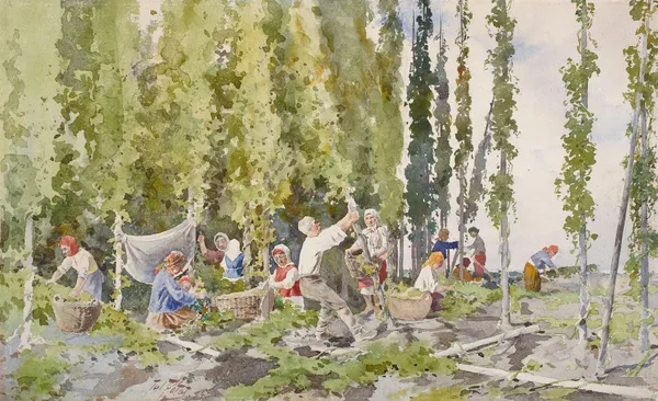Hop picking av Julian Falat