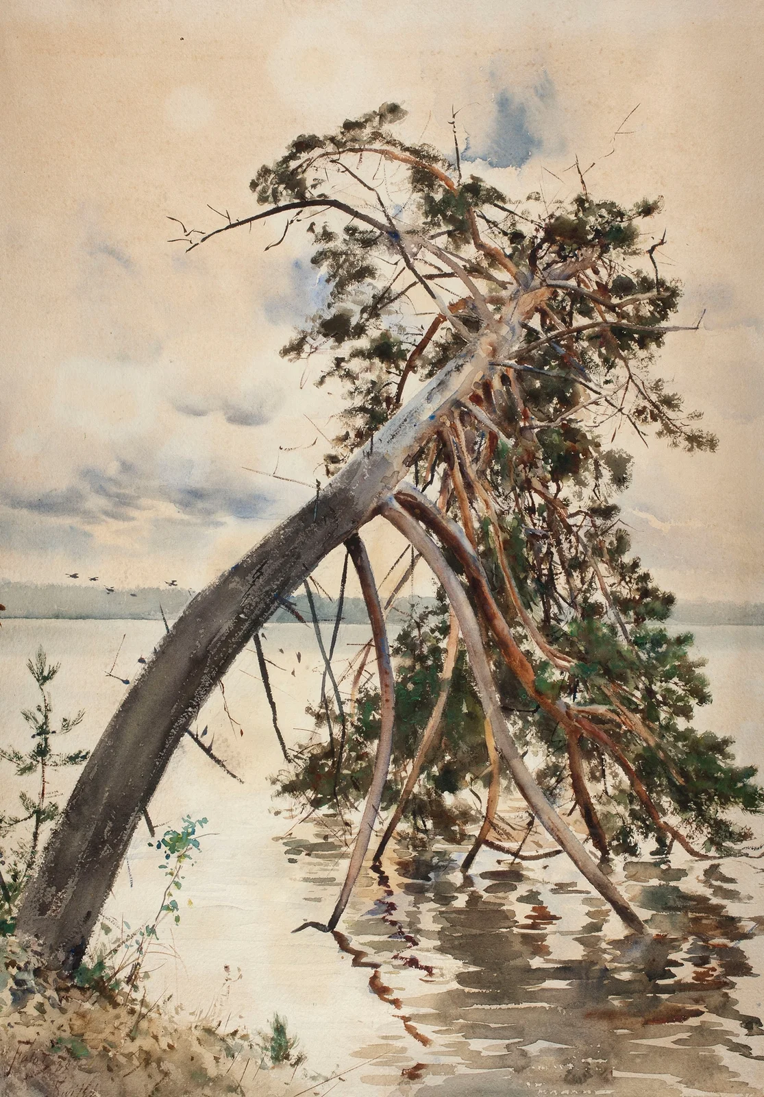 Świteź av Julian Falat