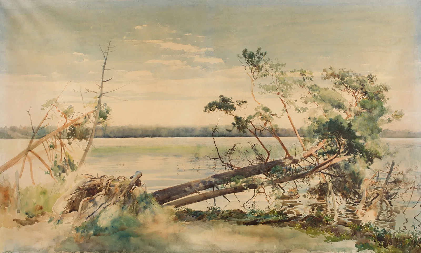 Świteź av Julian Falat
