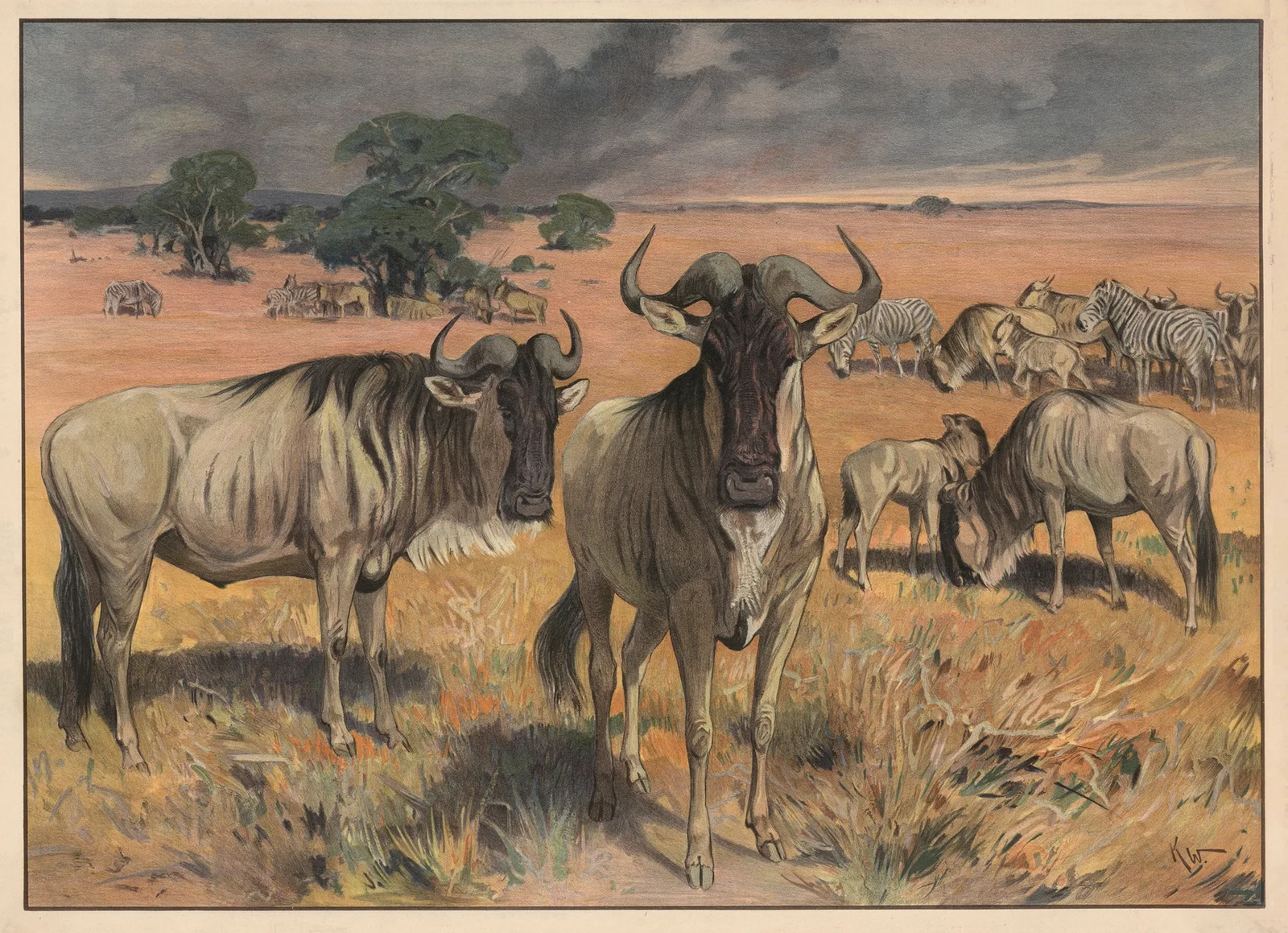 Gnu av Karl Wagner