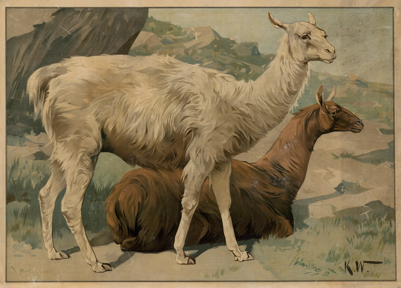 Lama av Karl Wagner
