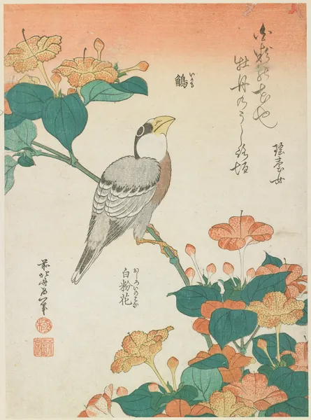 Hawfinch and Marvel-of-Peru av Katsushika Hokusai