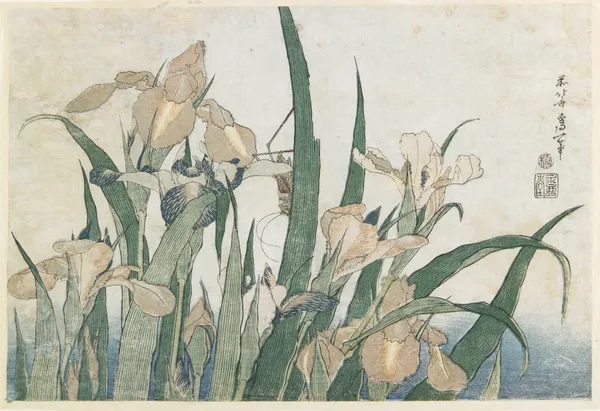 Irises and Grasshopper av Katsushika Hokusai