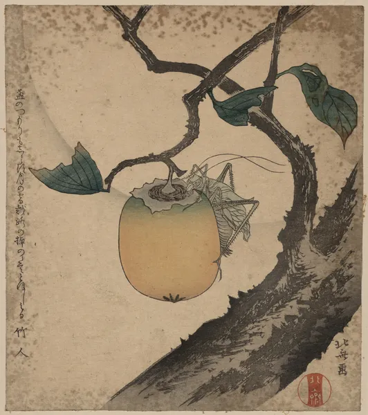 Kaki ni kirigirisu av Katsushika Hokusai