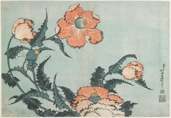 Poppies av Katsushika Hokusai