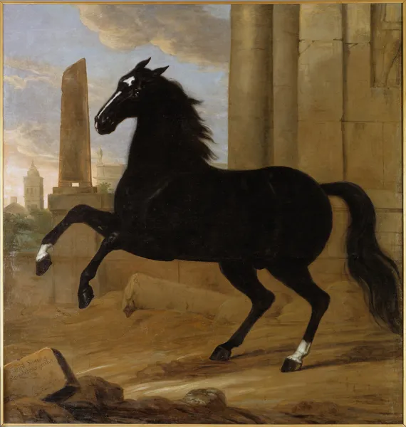 Favourite, en av kung Karl XI:s ridhästar av David Klöcker Ehrenstrahl