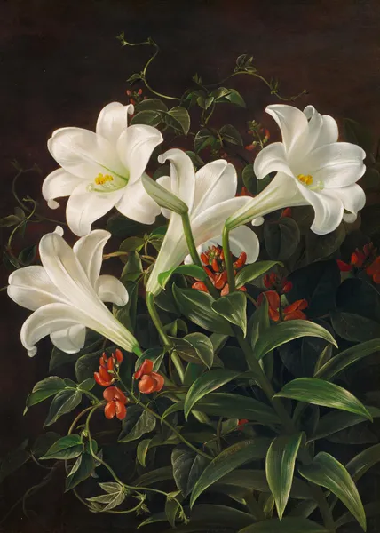 Stillleben mit weißen Lilien und blühenden Lubera-Ranken av Johan Laurentz Jensen