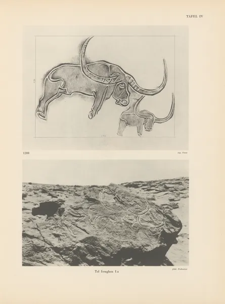 Ekade Ektab die Felsbilder Fezzans Pl.12 av Leo Frobenius