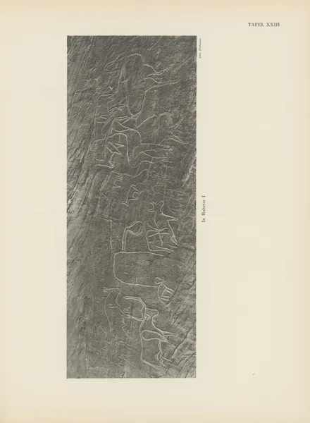 Ekade Ektab die Felsbilder Fezzans Pl.25 av Leo Frobenius
