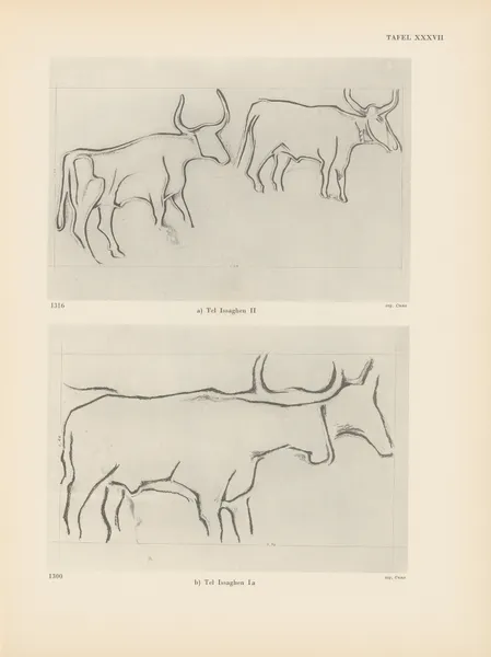 Ekade Ektab die Felsbilder Fezzans Pl.36 av Leo Frobenius