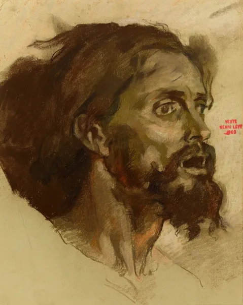 Etude pour un visage d’homme barbu av Henri Leopold Lévy