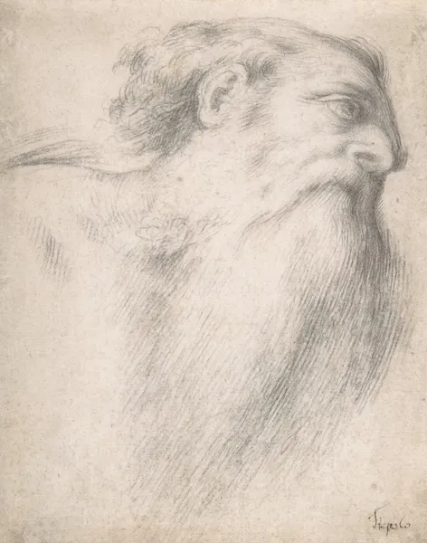 Head of a Bearded Man av Lorenzo Lotto