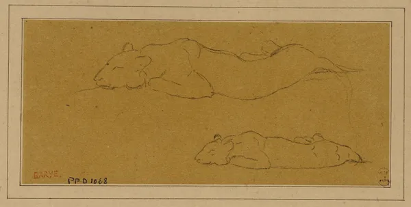 Deux études de panthère allongée av Antoine-Louis Barye