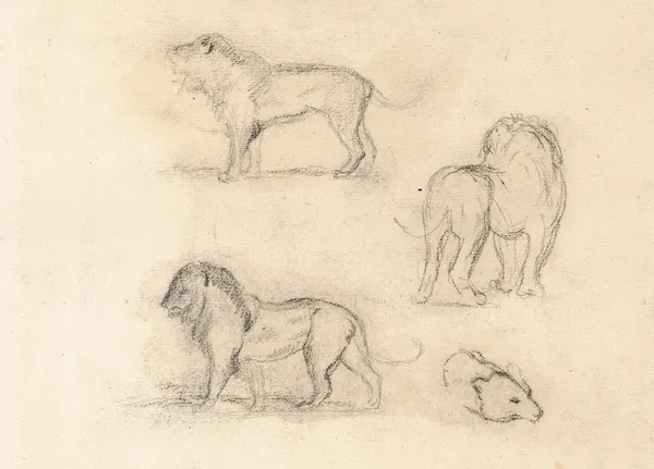Etude de trois lions et une tête d’ours av Antoine-Louis Barye