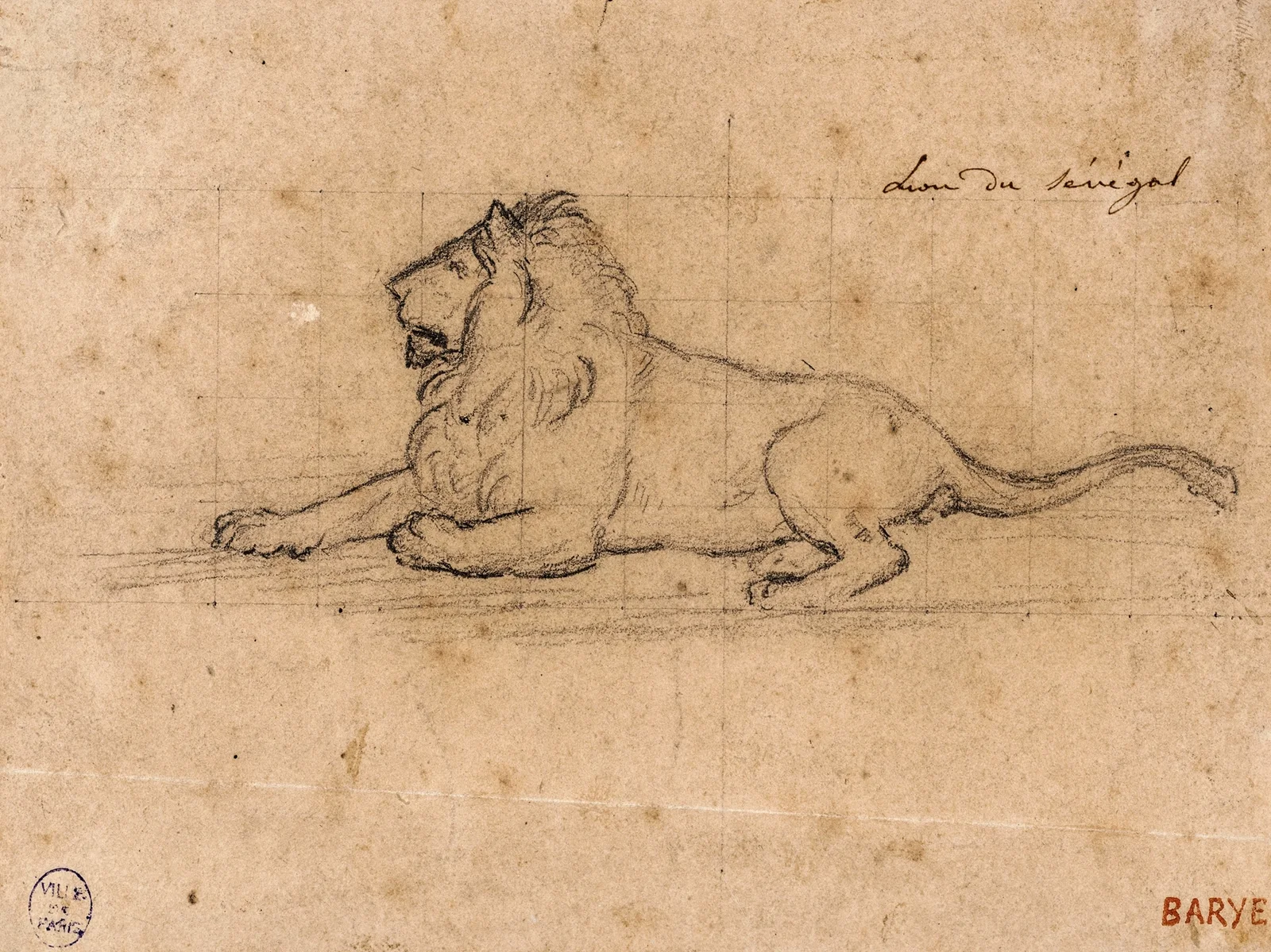 Lion du Sénégal av Antoine-Louis Barye