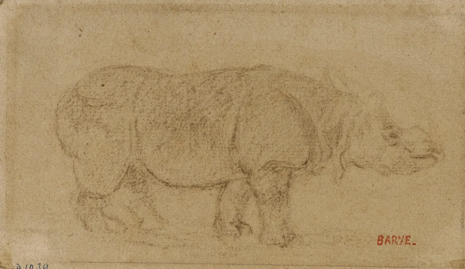 Rhinocéros (19th century) av Antoine-Louis Barye