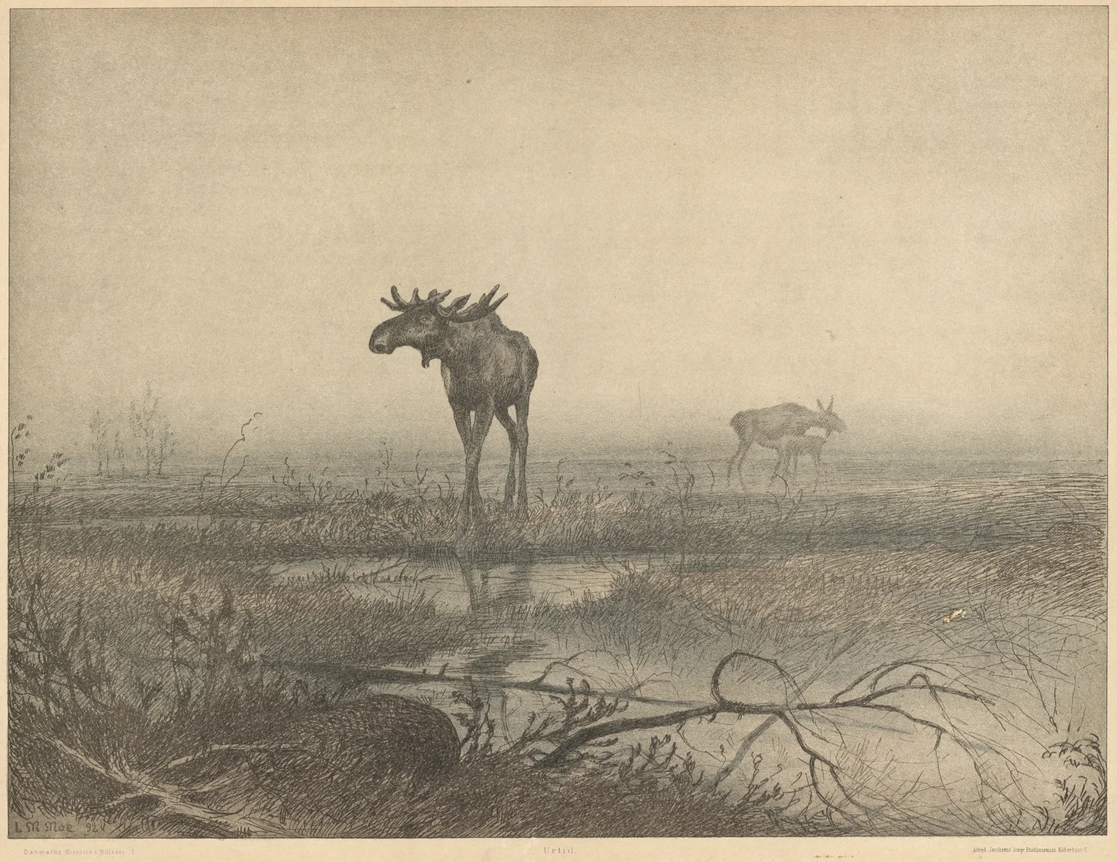 Urtid (Pre Stoneage Denmark) av Louis Moe