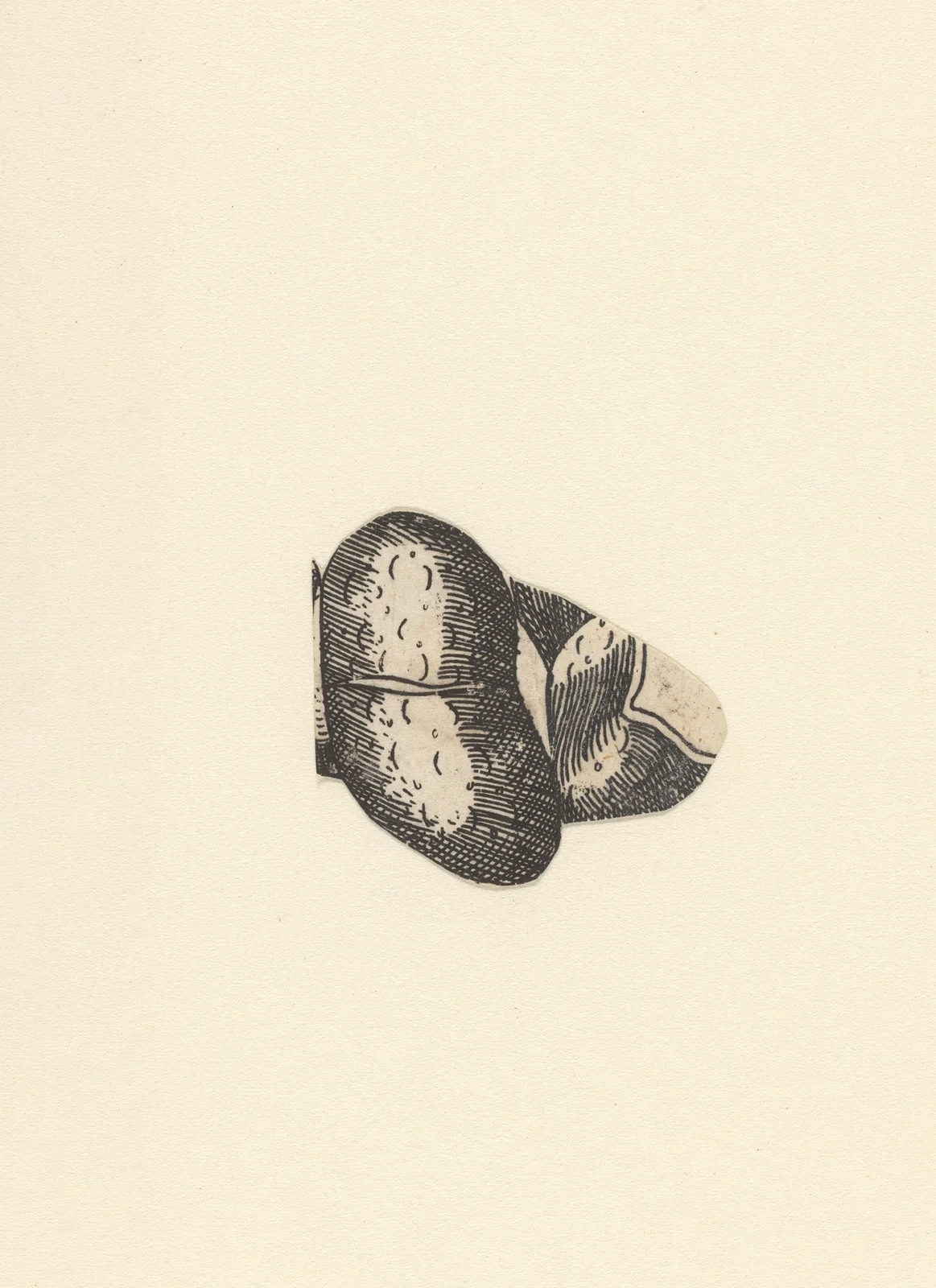 Kidney. – nr 2 av Lucas Kilian