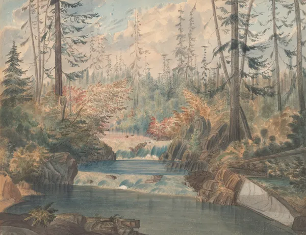 Youngs R. Oregon av James Madison Alden