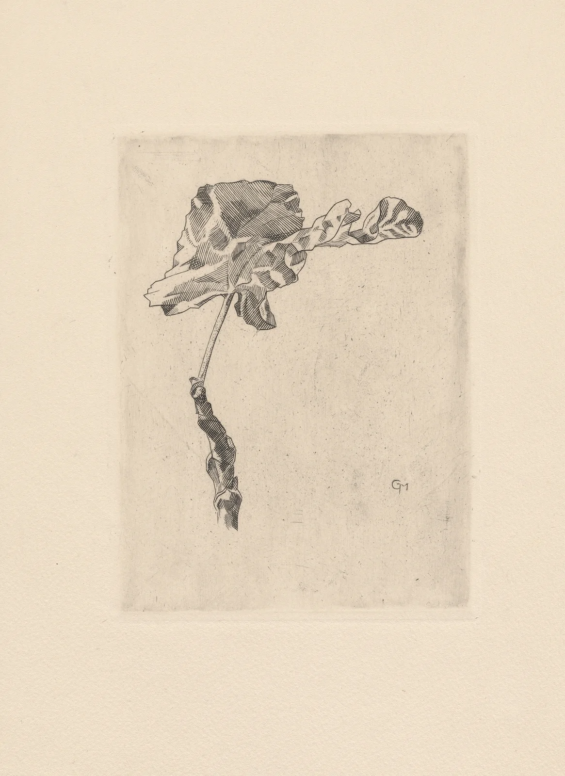 Feuille de bananier av Marc Gonthier