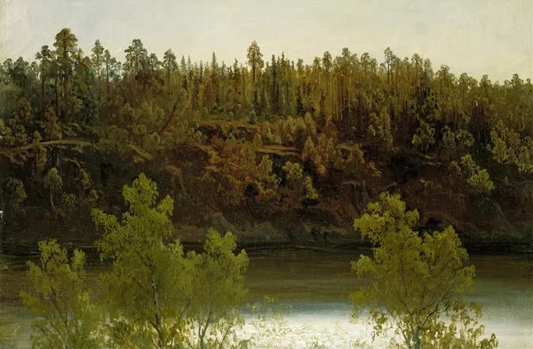 Svensk sjö. Studie av Marcus Larson