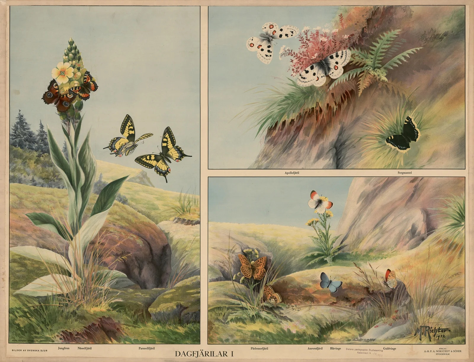 Butterflies I av Max Richter