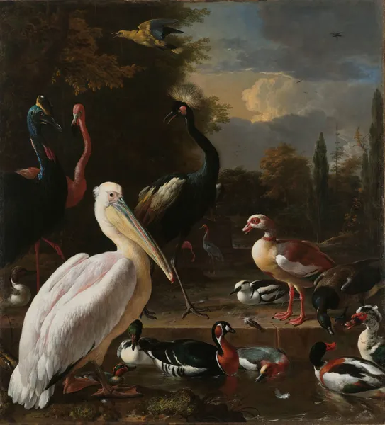 A Pelican and other Birds near a Pool, Known as ‘The Floating Feather’ av Melchior d'Hondecoeter