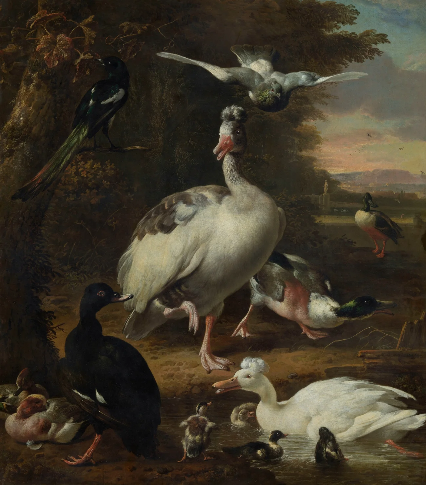 Birds av Melchior d'Hondecoeter