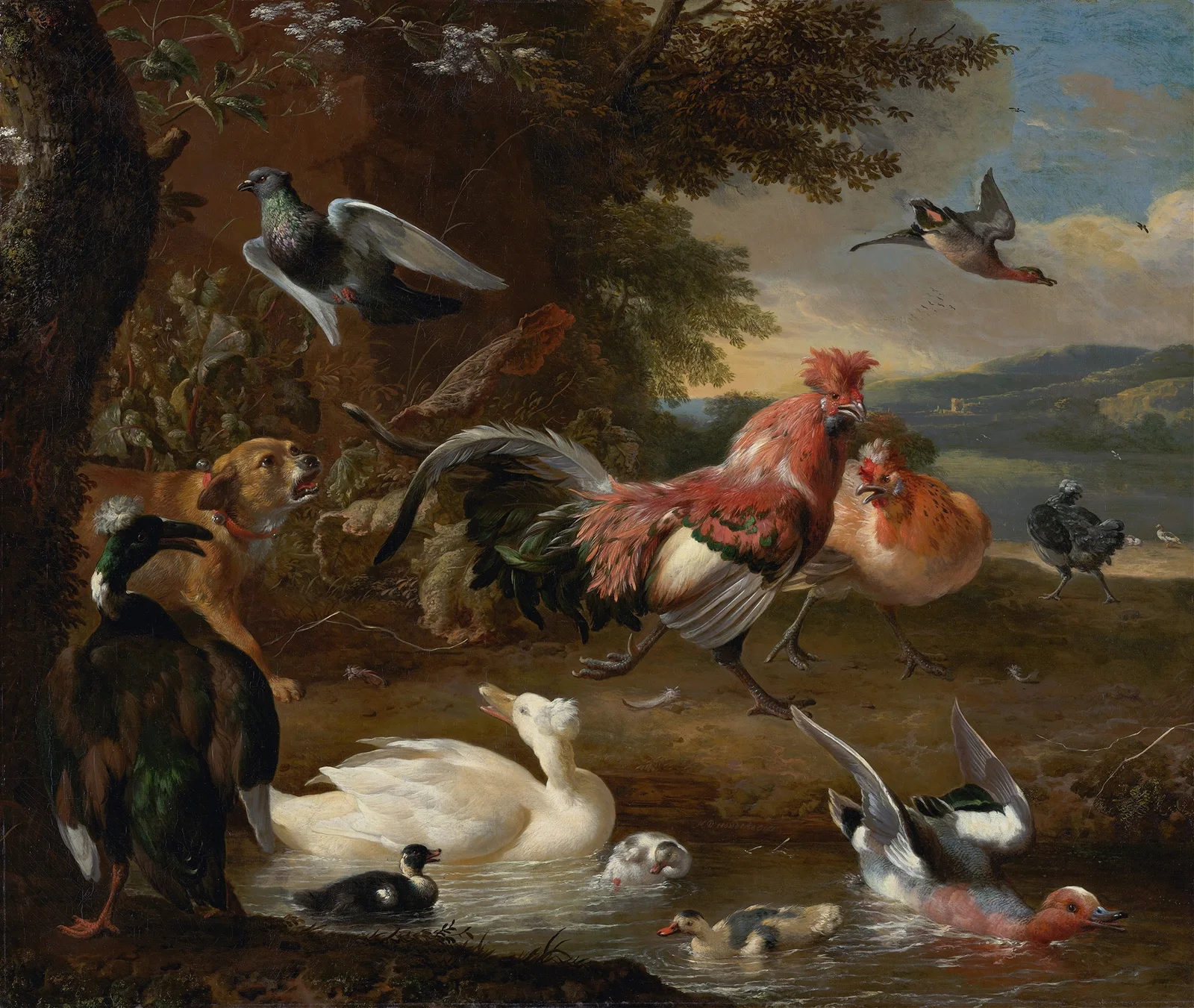 Chickens and Ducks av Melchior d'Hondecoeter