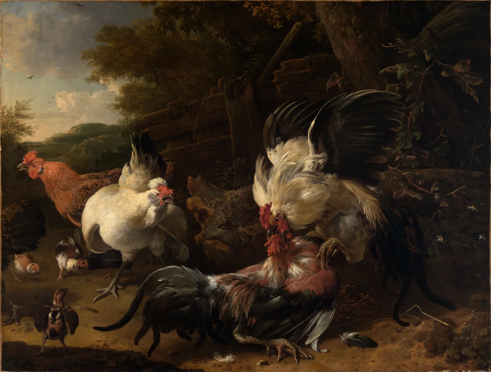 Kämpfende Hähne av Melchior d'Hondecoeter
