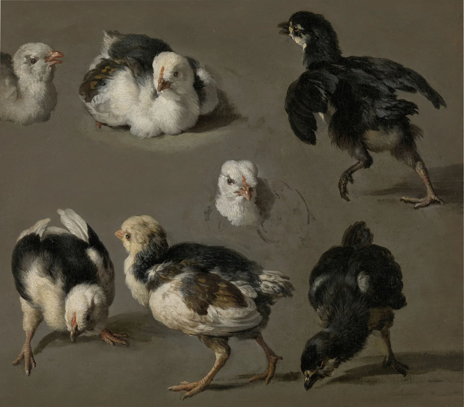 Seven Chicks av Melchior d'Hondecoeter