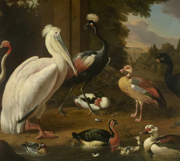 Waterfowl, Melchior de Hondecoeter av Melchior d'Hondecoeter