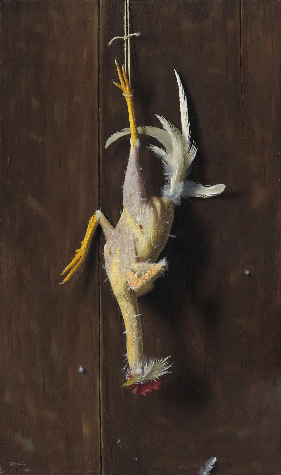 Plucked Clean av William Michael Harnett