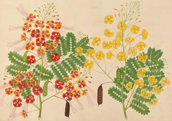 No inscriptions, 1840 – nr 2 av Miss Gough