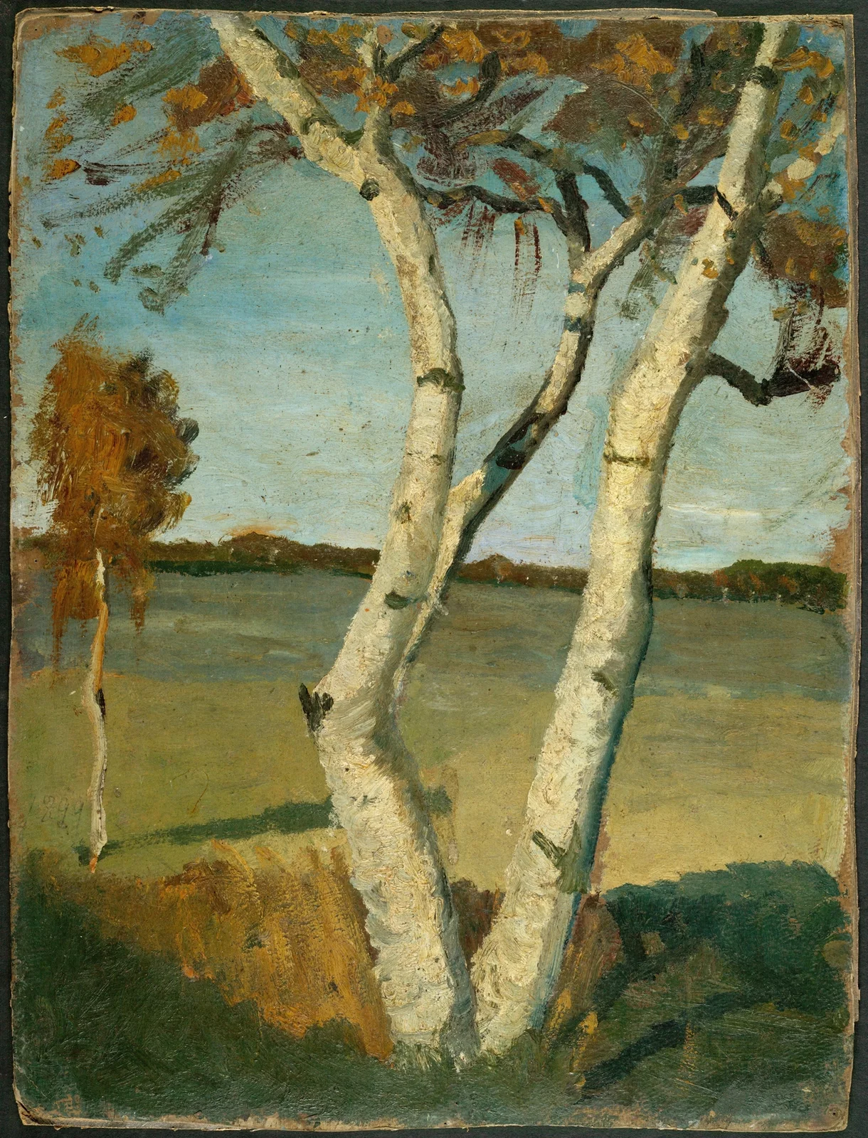 Birch Tree in a Landscape av Paula Modersohn-Becker