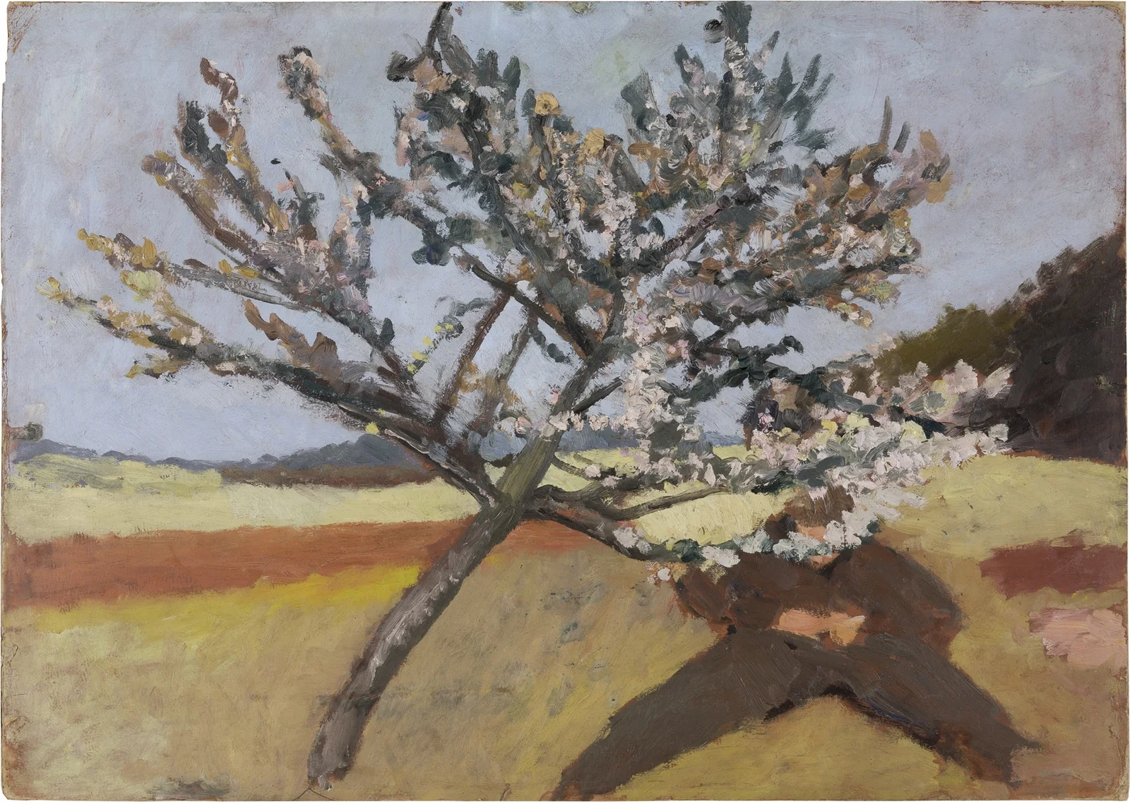 Man lying beneath a Blossoming Tree av Paula Modersohn-Becker