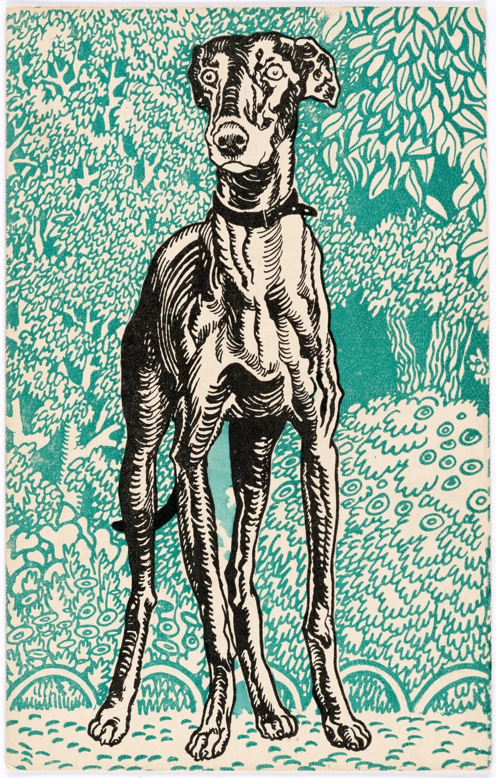 Nr. 678: Windhund (Greyhound) av Moriz Jung