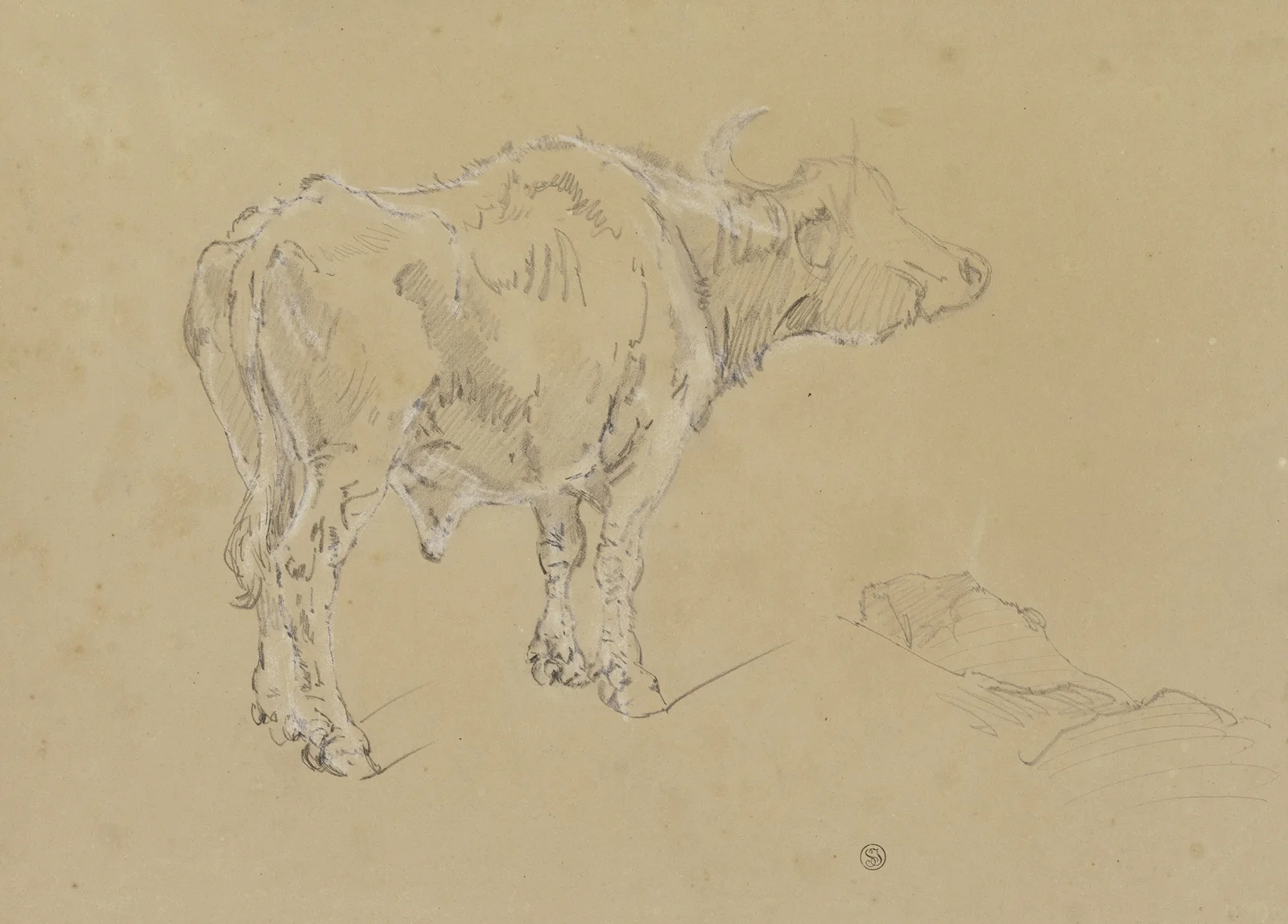 A buffalo av Johann Nepomuk Rauch