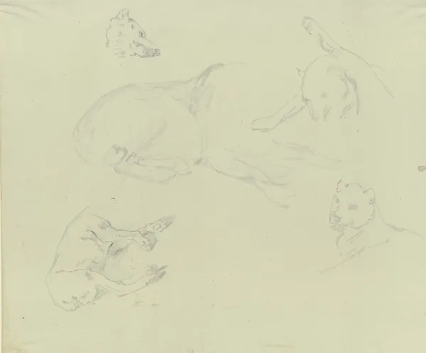 Lions and wolves av Johann Nepomuk Rauch