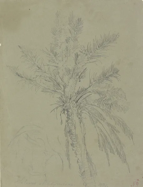 Palm tree in Salerno av Johann Nepomuk Rauch