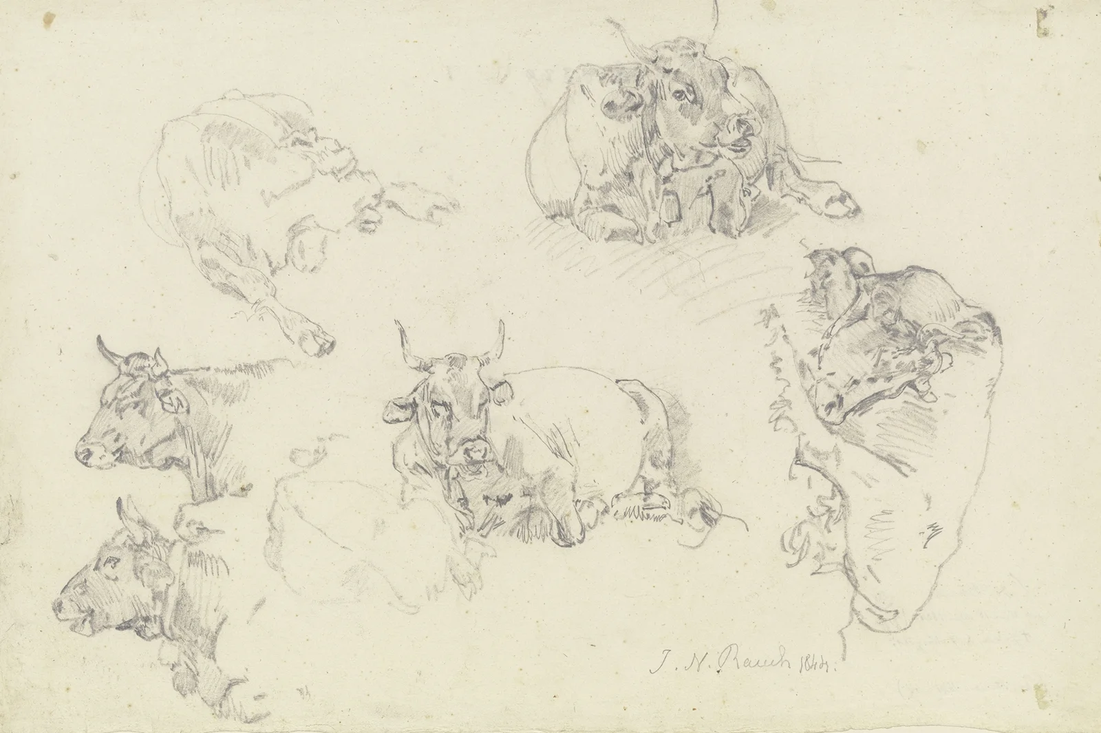 Six cattle av Johann Nepomuk Rauch