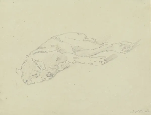 Sleeping wolf av Johann Nepomuk Rauch