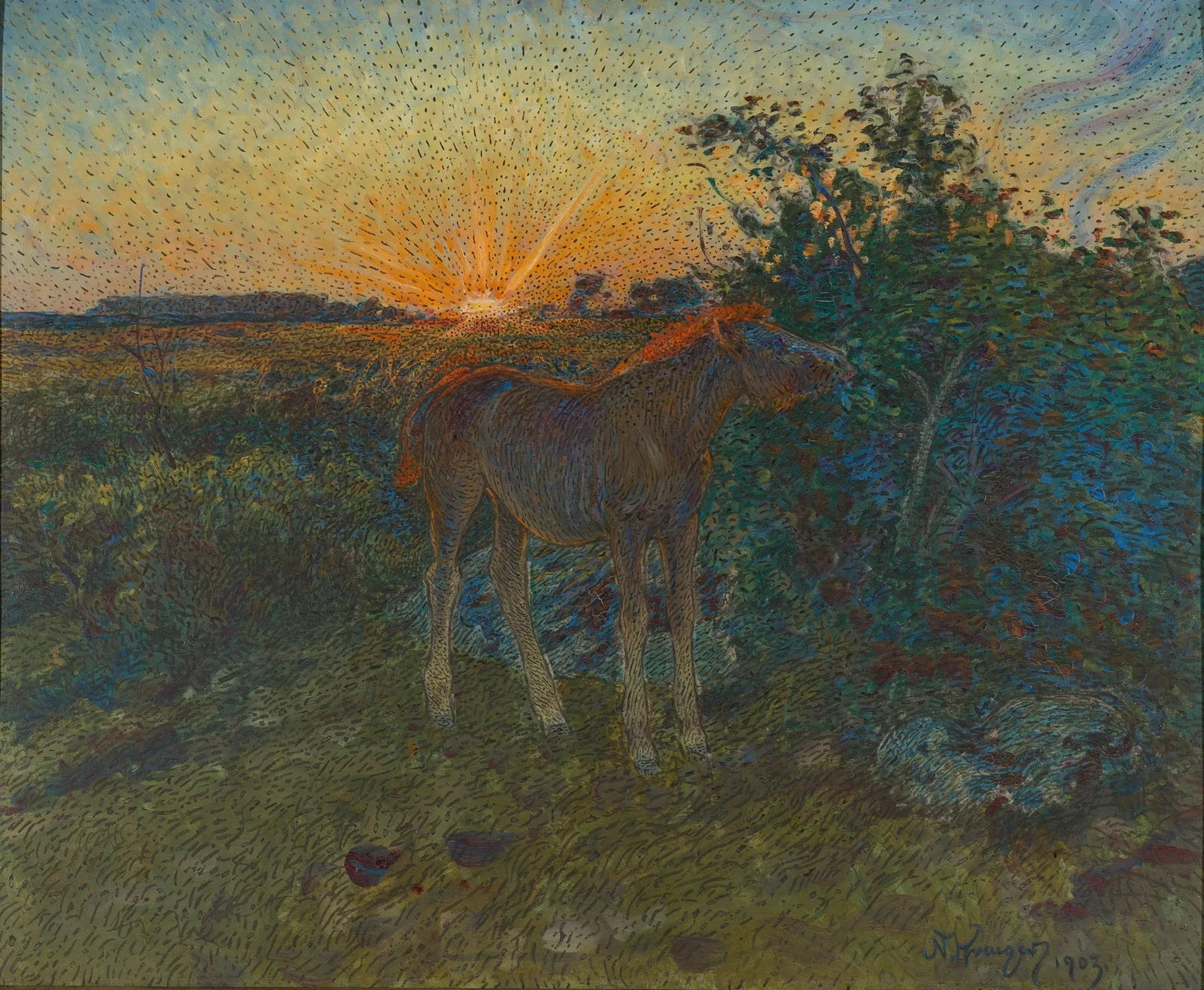 Foal av Nils Kreuger