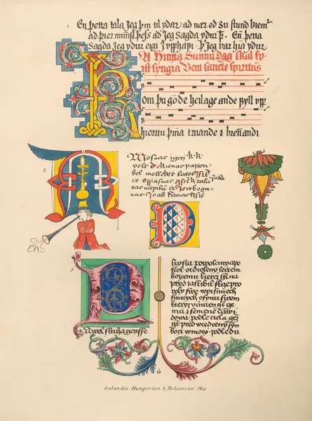 Icelandic, Bohemian, ahd Hungarian MSS av John Obadiah Westwood