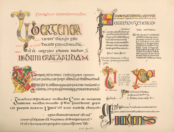 Irish MSS II av John Obadiah Westwood